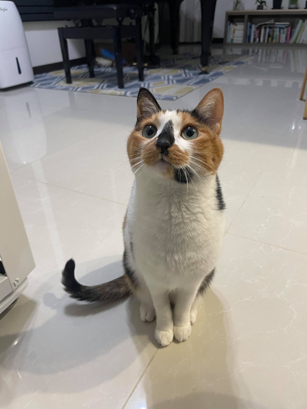 網友Chun Huang提供