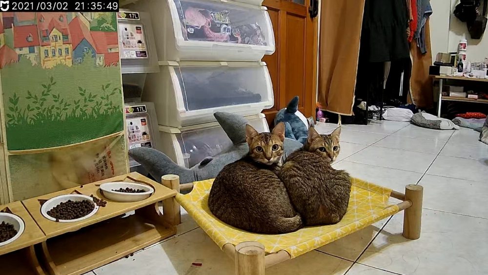 網友Chen Guanan小姐提供