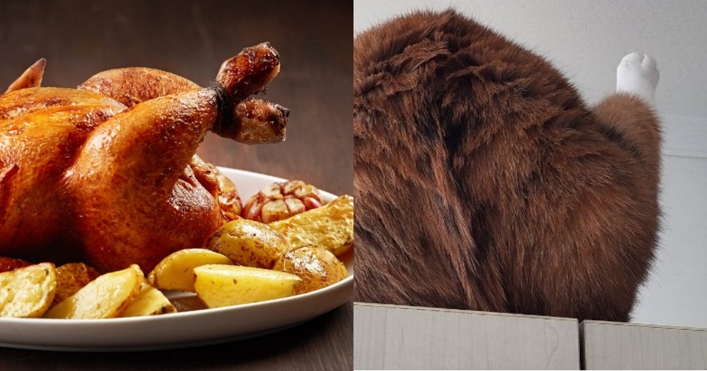 Twitter＠ walnut_is_a_cat