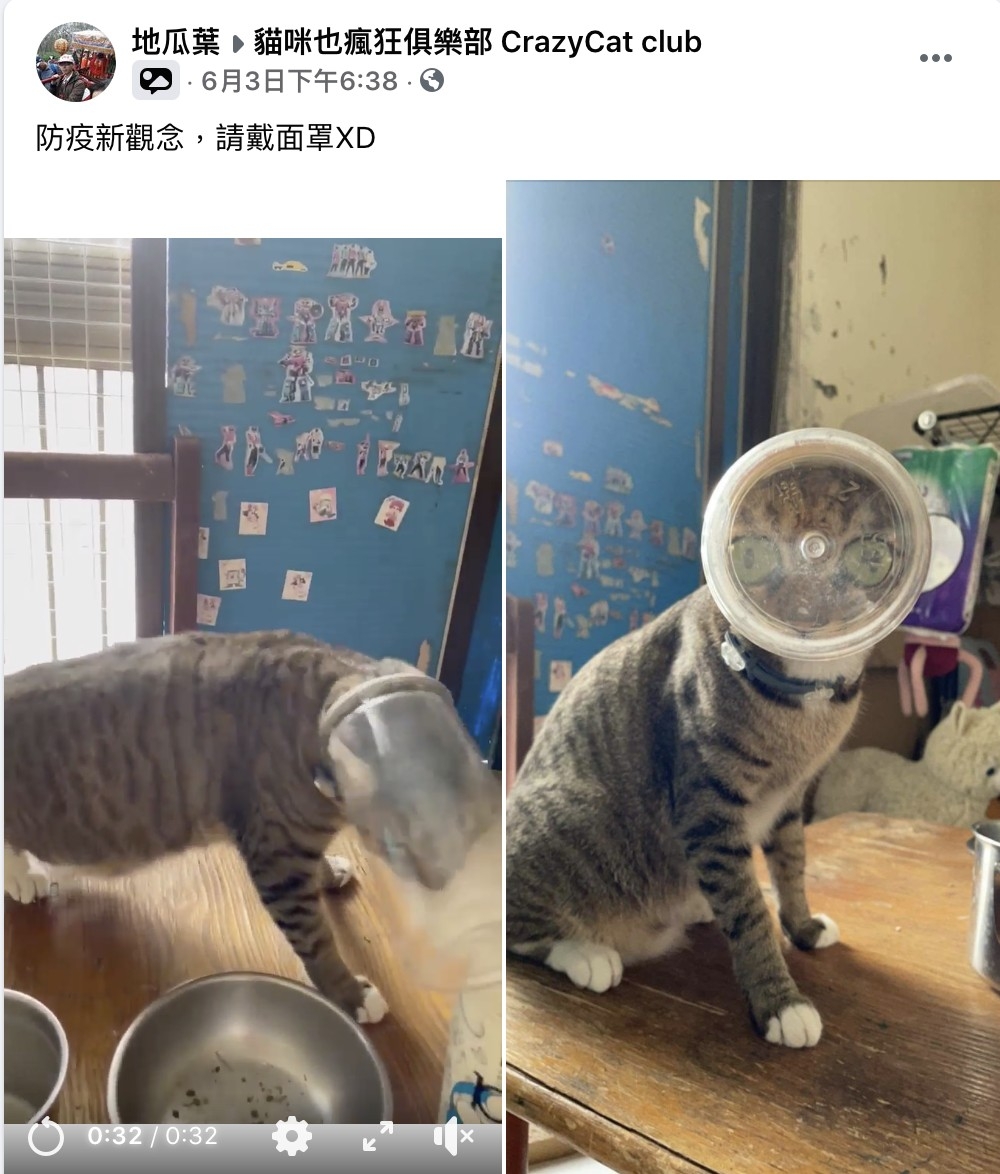 網友地瓜葉提供