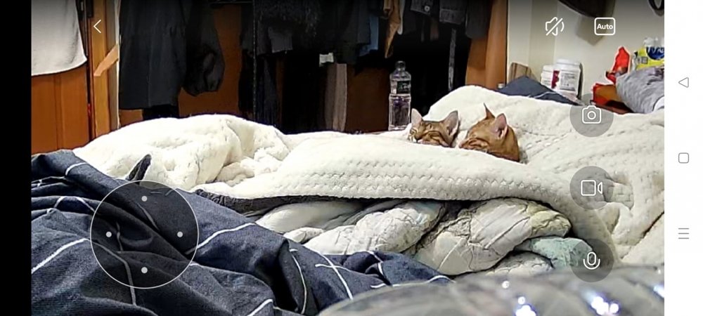 網友Chen Guanan小姐提供