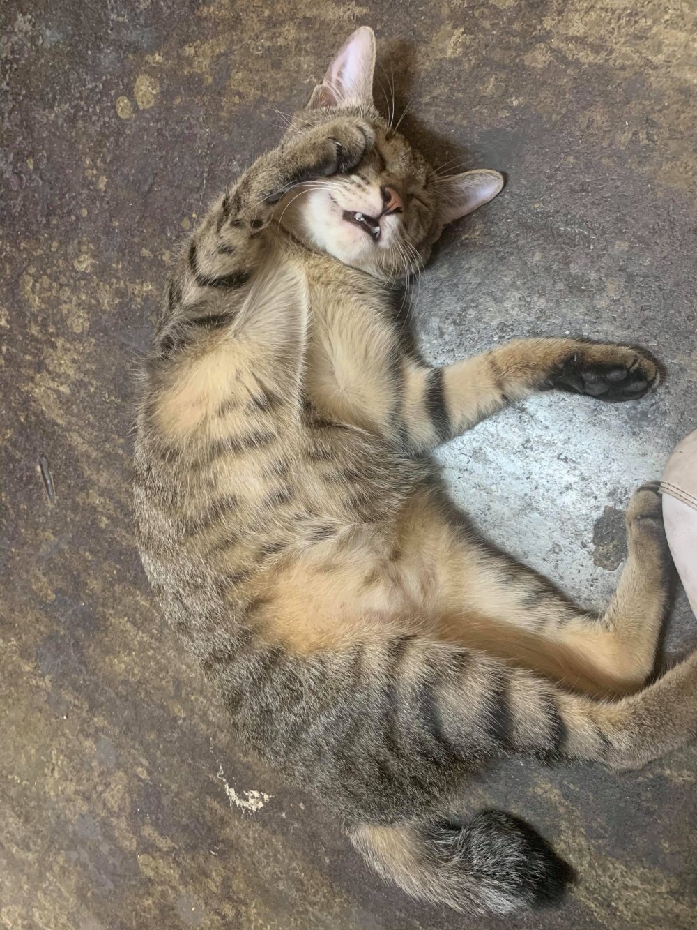 網友謝小珮小姐提供