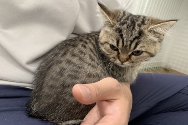 twitter @bobo_mumu0302 