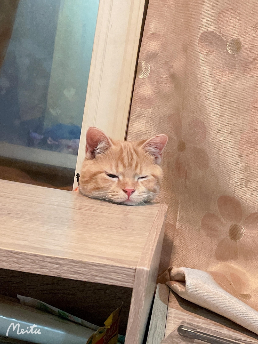 網友王婕寧小姐提供