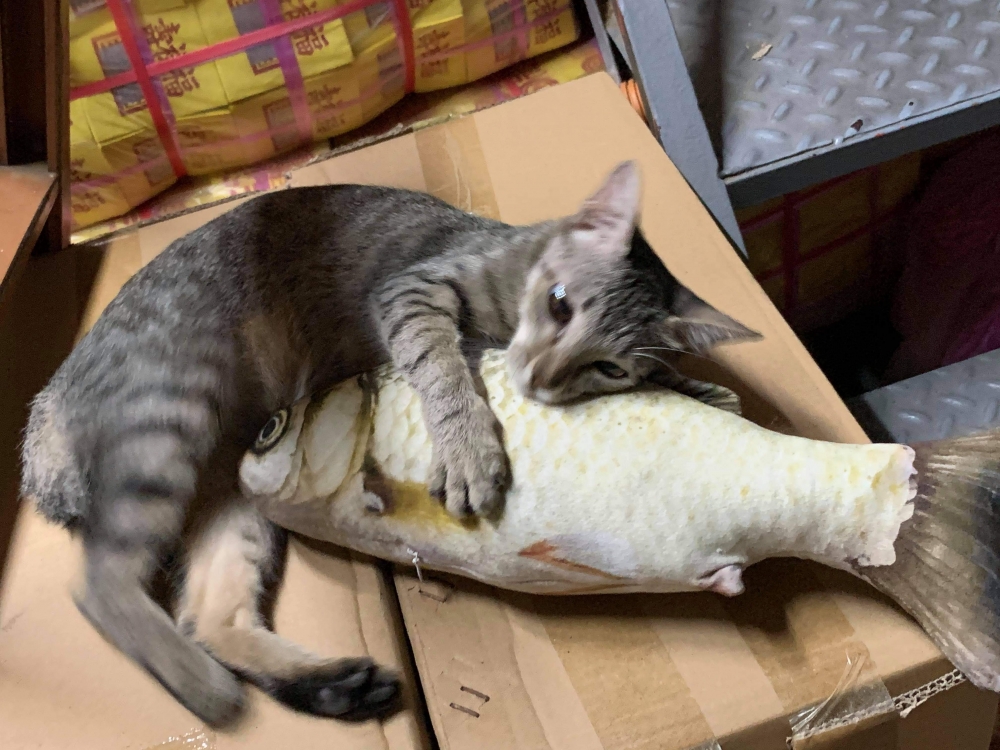 網友謝小珮小姐提供