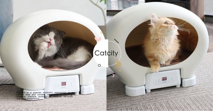 【貓咪消暑】怕貓中暑？日本商家「冷氣貓屋」可調溫14-40度，冬天秒變暖屋超方便！