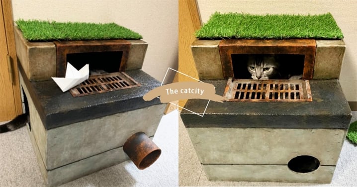恐怖電影「牠」經典場景！日本推主DIY「水溝模型」神還原，網笑：這貓窩太狂了