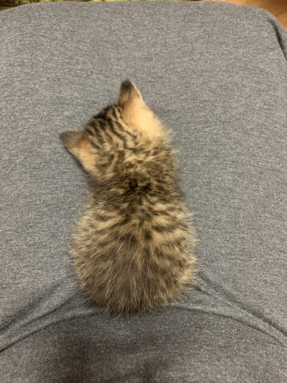 twitter @kotaromonmon