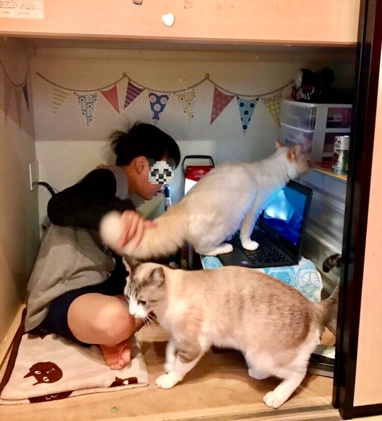 twitter @omochi_nam01