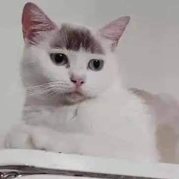 搜狐