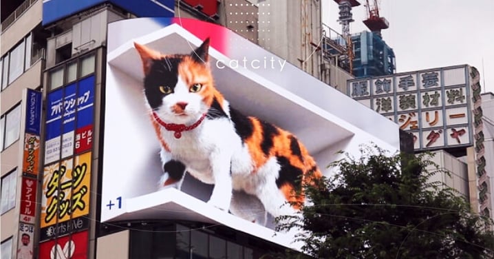 3D巨貓攻佔！日本新宿外牆「超大型三花貓」竟會動還喵喵叫，網喊：卡哇伊捏