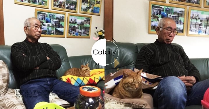 日本推特「爺爺與貓」超有愛，連「度估表情」都神同步　網笑：是複製貼上