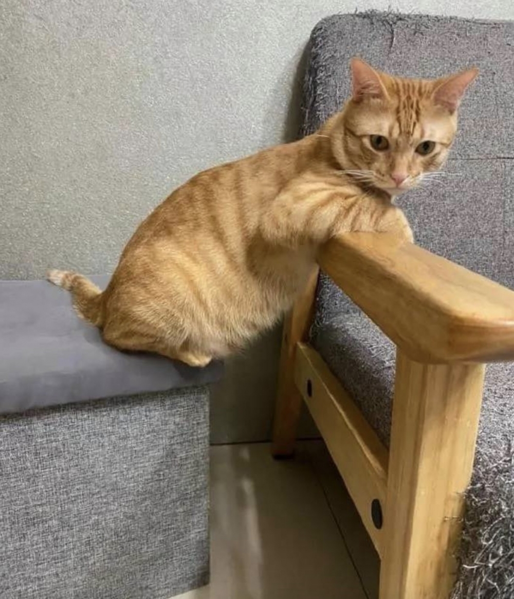 搜狐