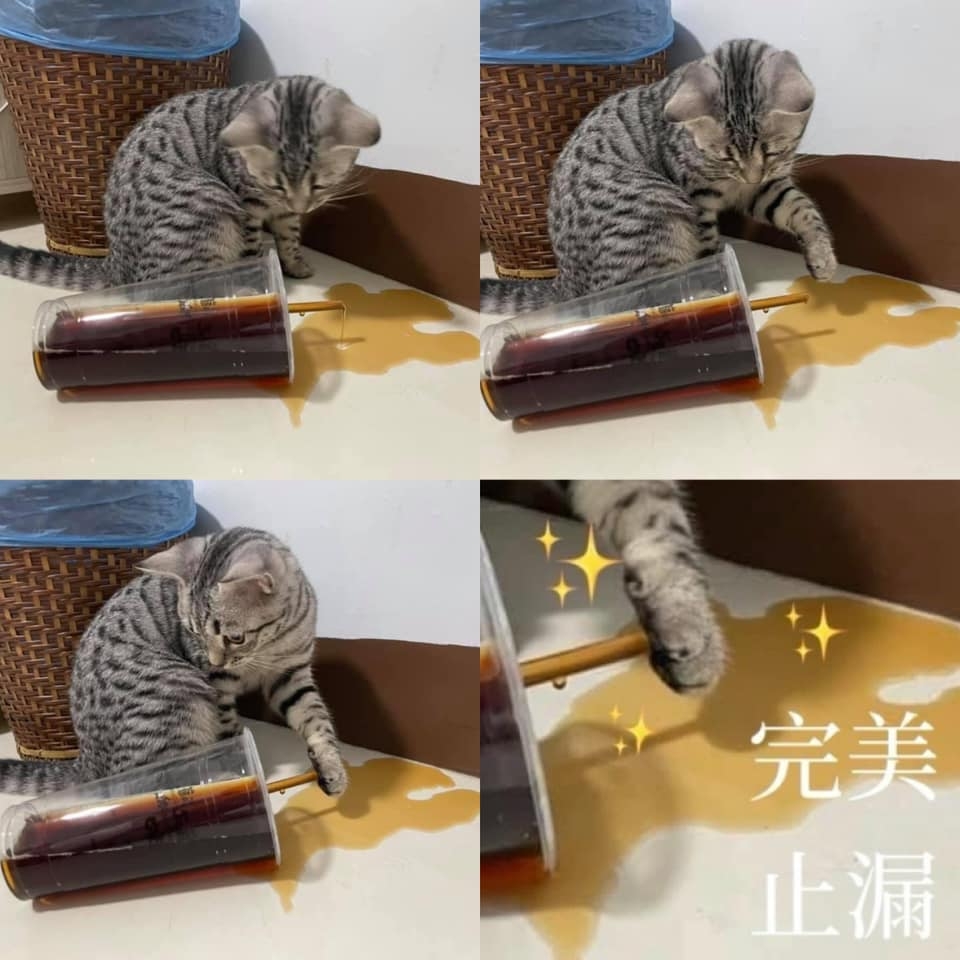 網友Lu Lei提供