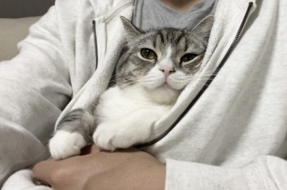 twitter @catmotimaru