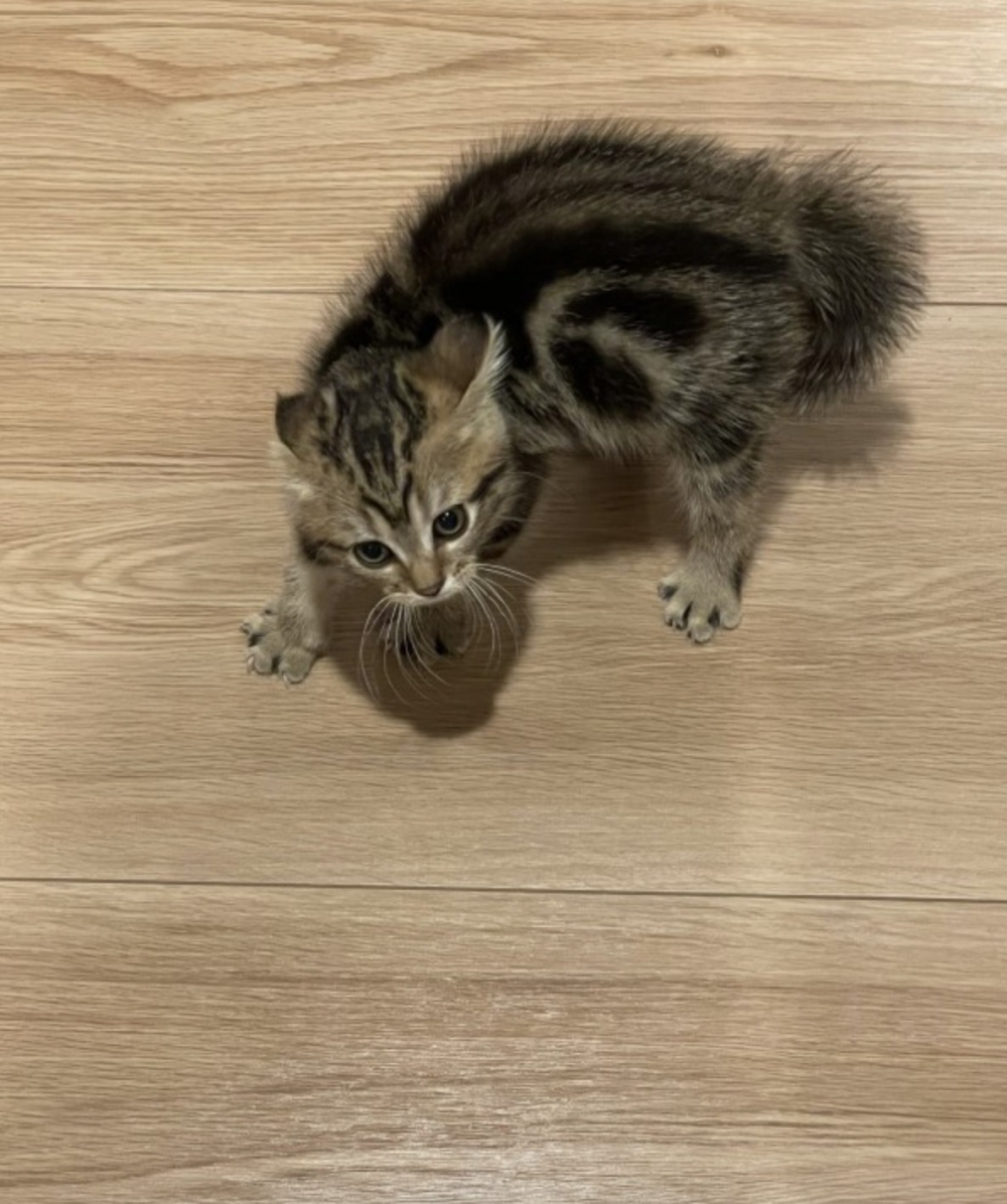 twitter @@roy_and_may 