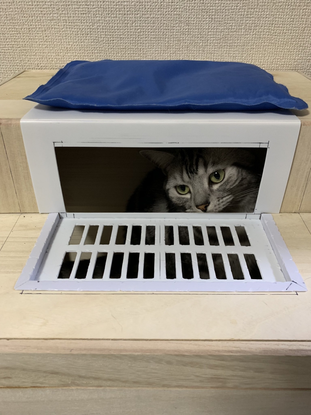 twitter kagemarusanjo