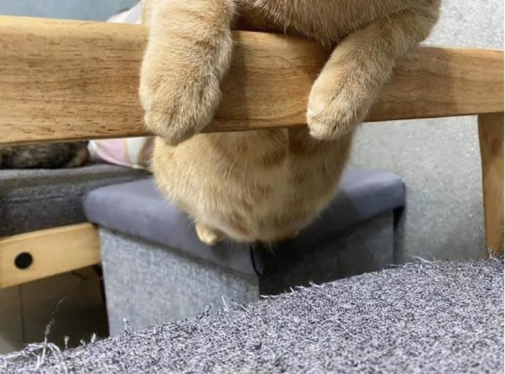 搜狐