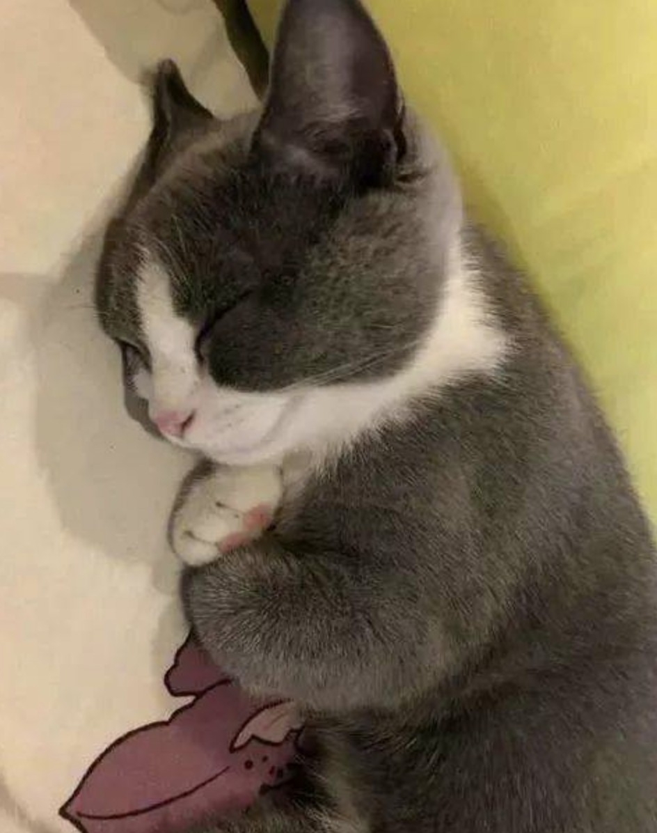 Pinterest