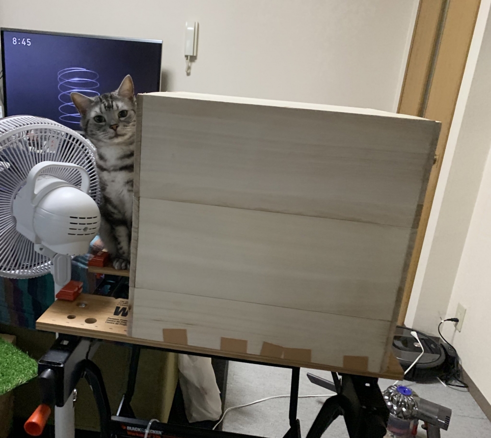 twitter kagemarusanjo