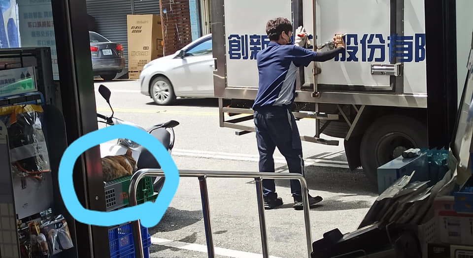 網友林欣彤小姐提供