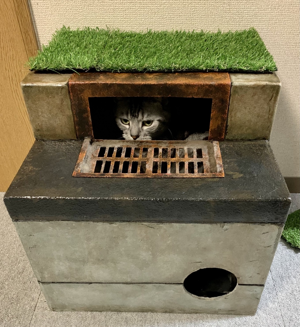 twitter kagemarusanjo