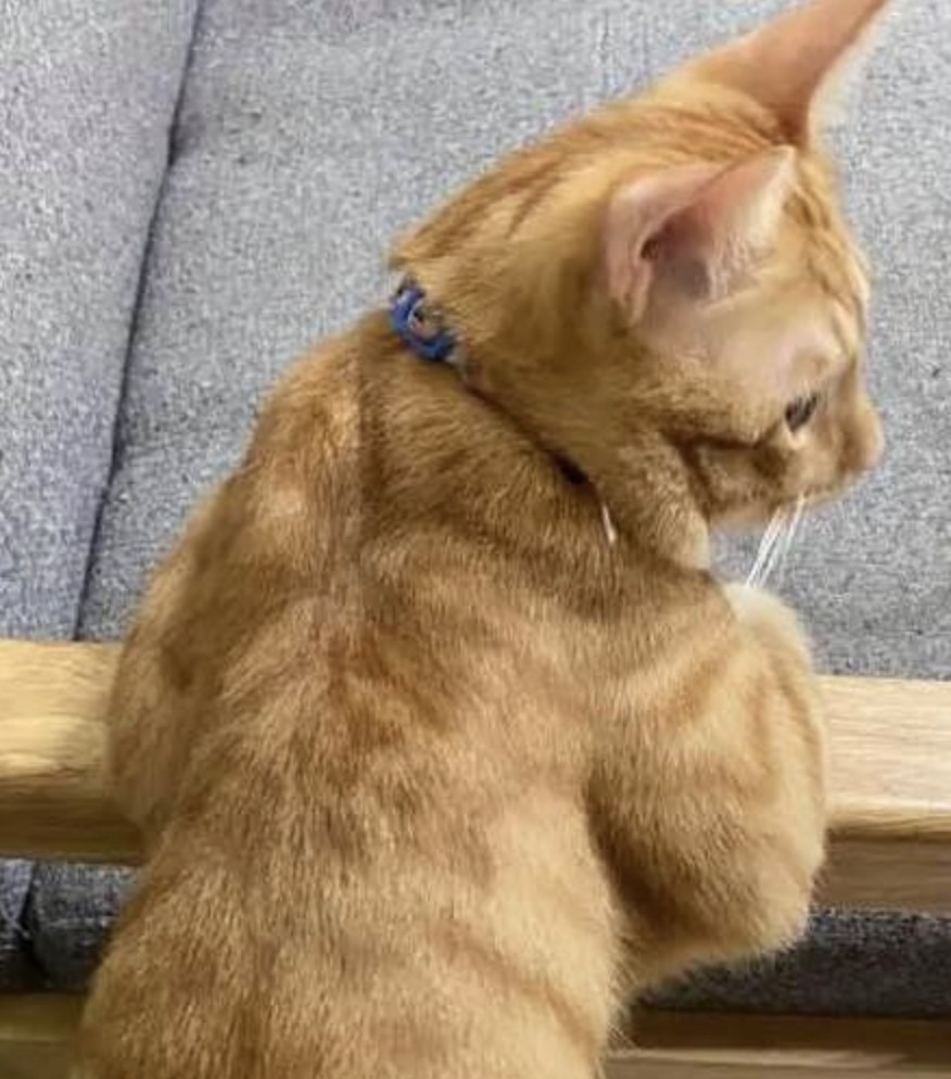 搜狐