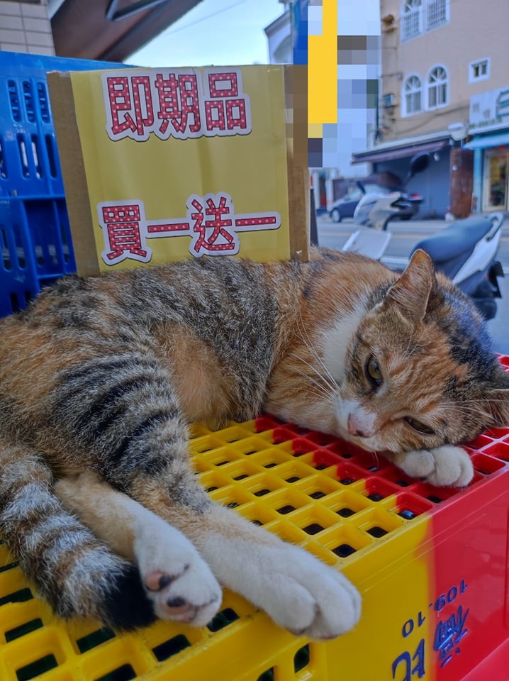 網友林欣彤小姐提供