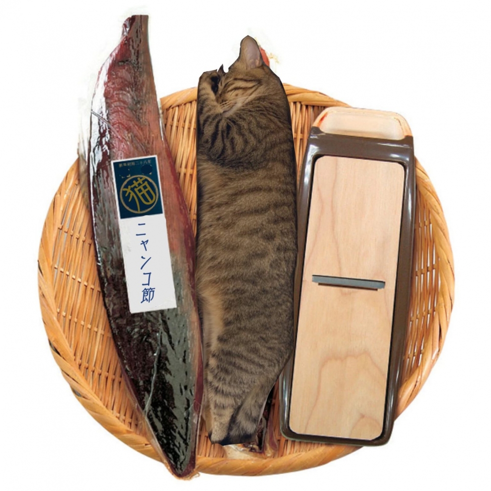 twitter @kotaromonmon