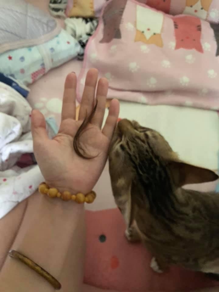 網友Pretty Ann小姐提供