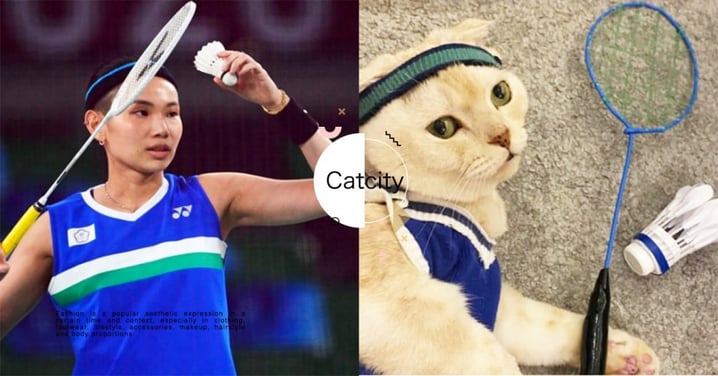 為奧運加油！貓奴將愛貓扮成「神勇小戴」，自製「球拍＋羽毛球」　網：好可愛