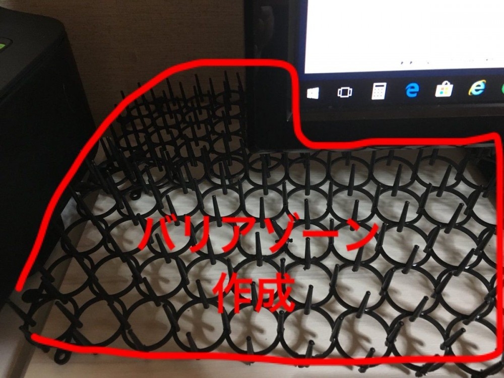 twitter uwabamichan_