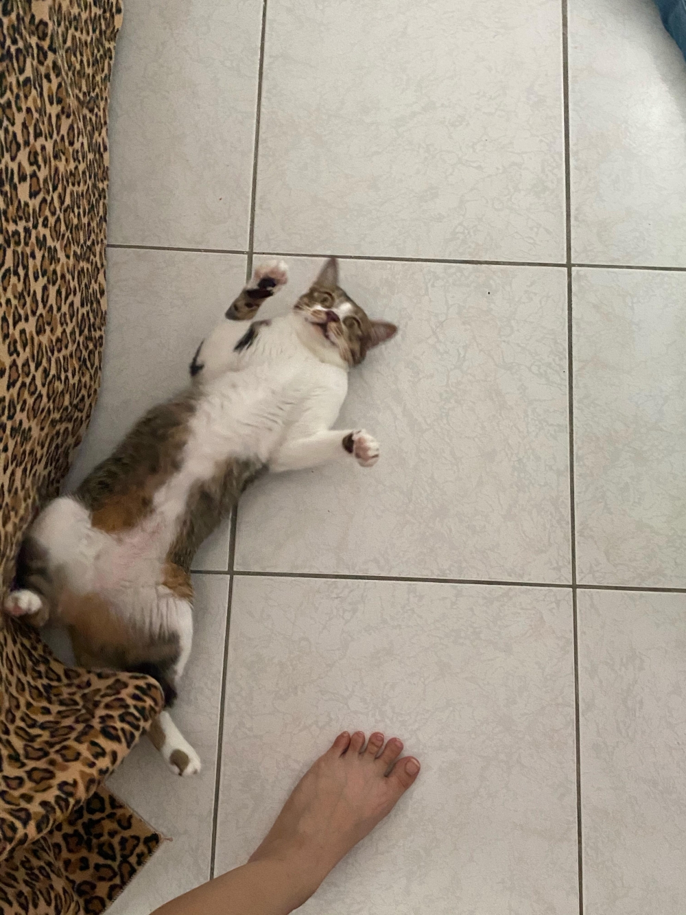 網友呂小姐提供