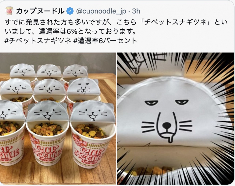 截圖 2021-08-05 下午1.45.04