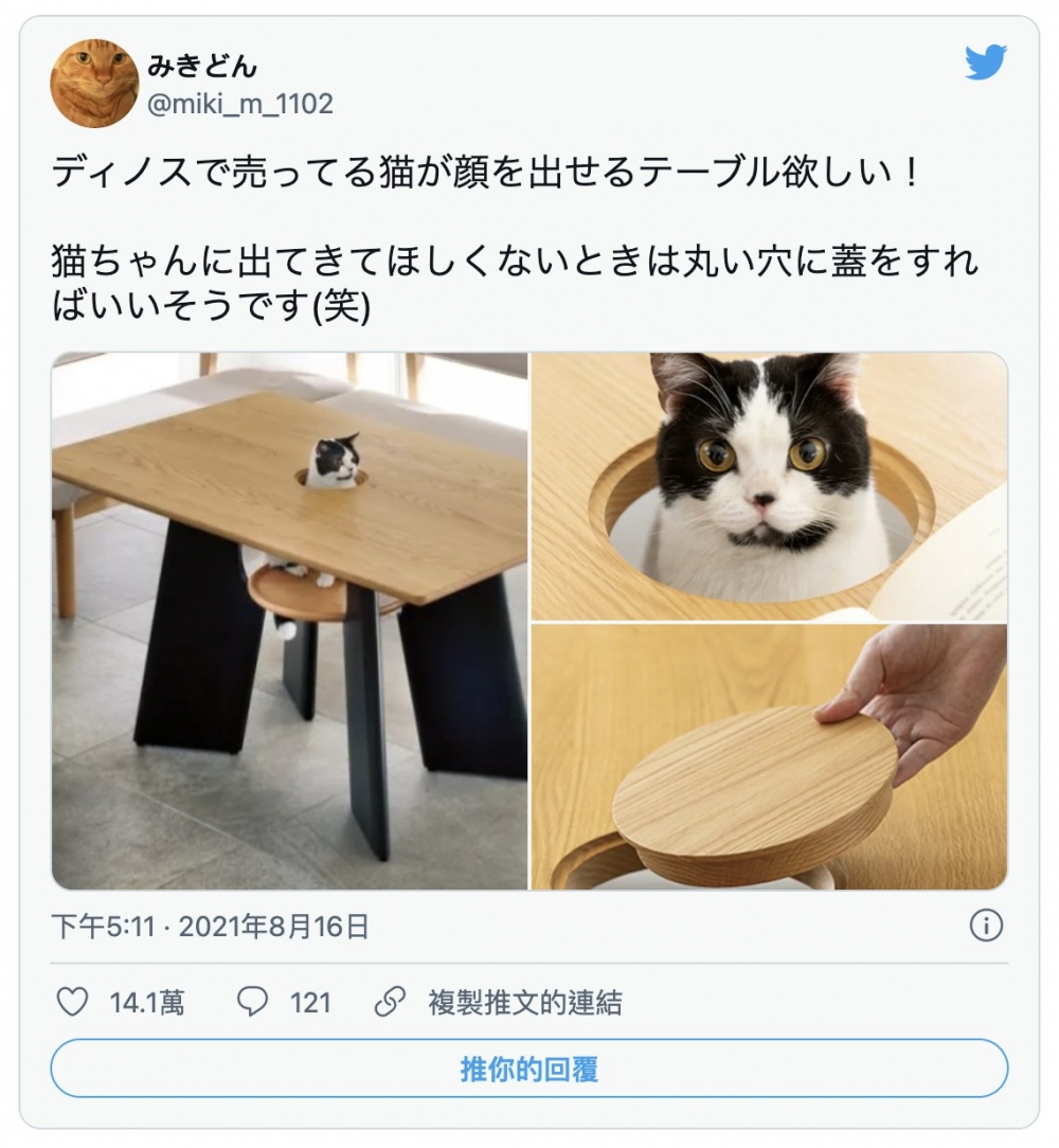 日本商家推出人貓共桌,貓咪桌子