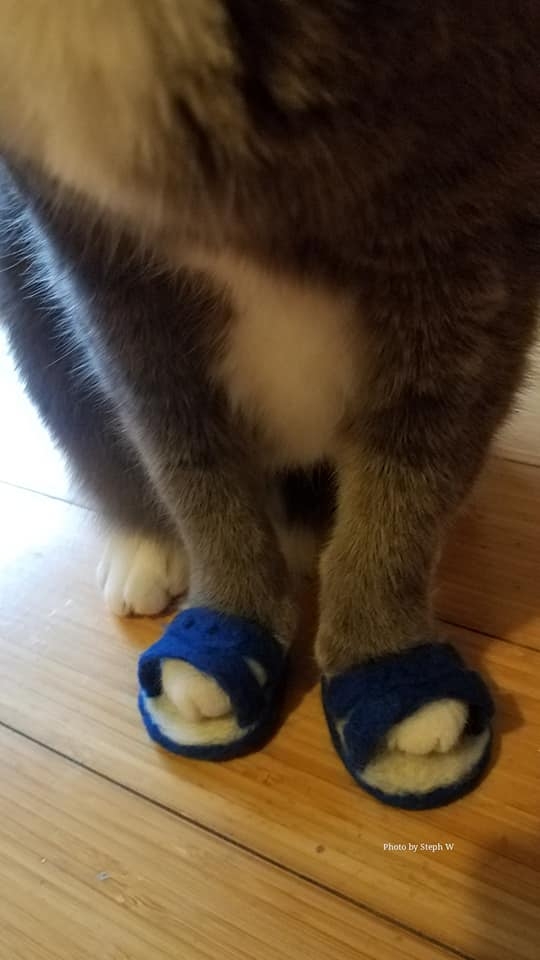 網友Stephanie Wu小姐提供