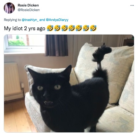 推主分享貓咪被剃毛的照片