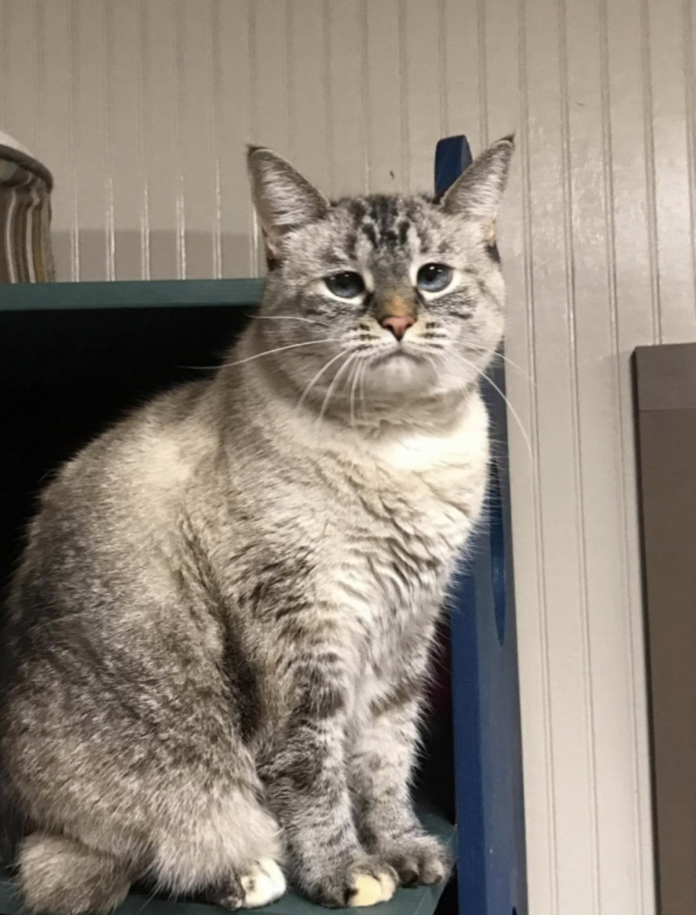 截圖 2021-08-10 上午10.49.19