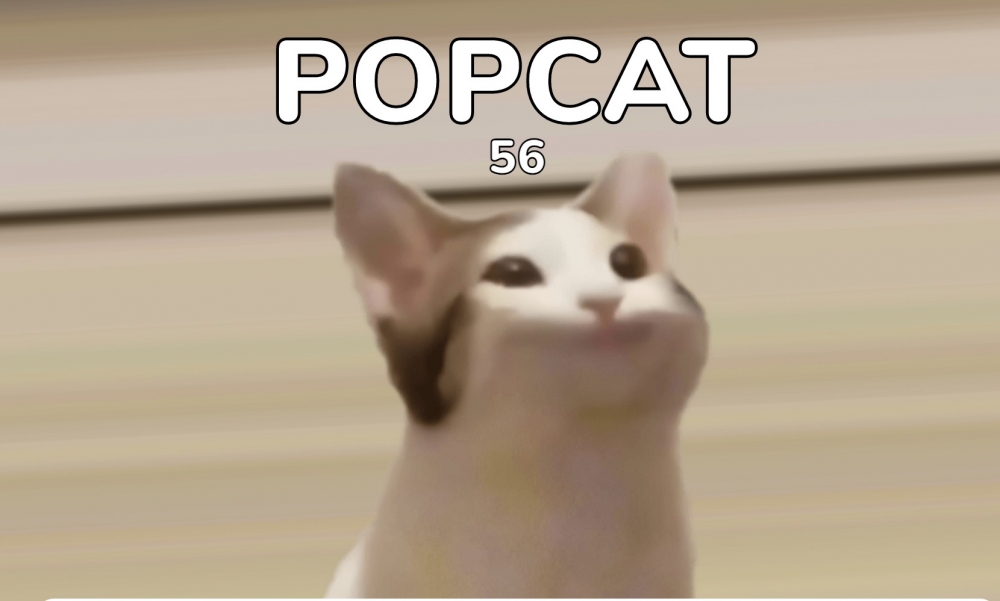 popcat迷因貓