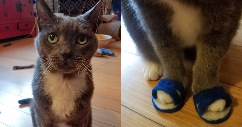 網友Stephanie Wu小姐提供