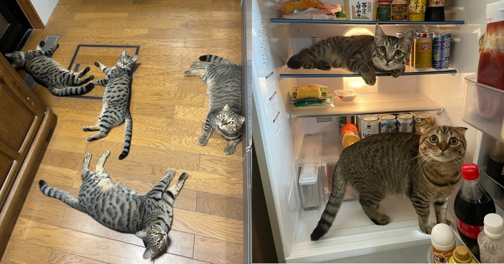 Instagram tomeji1106 