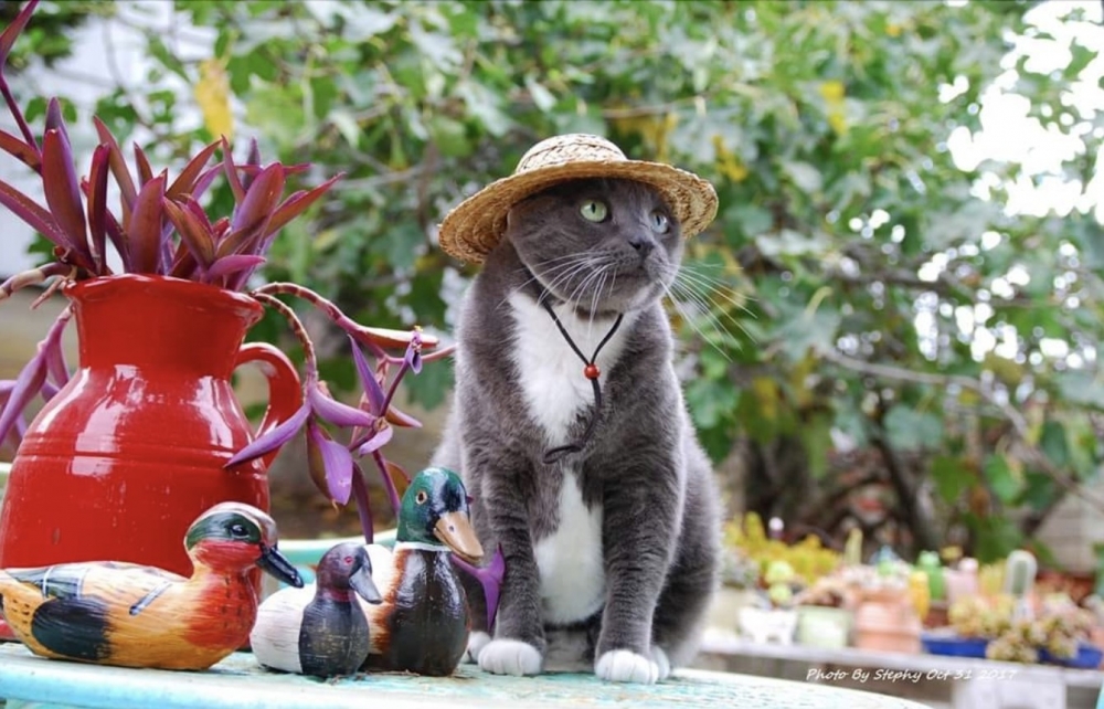 網友Stephanie Wu小姐提供