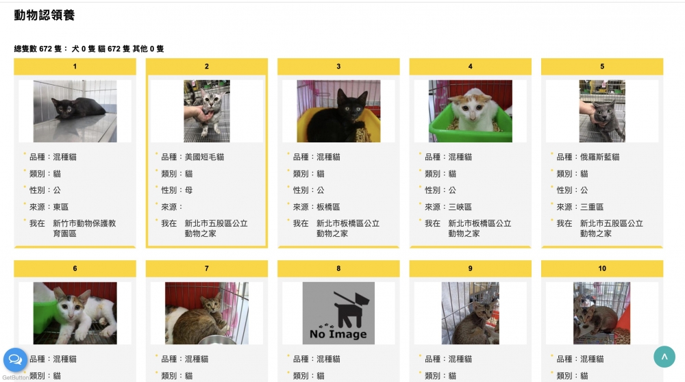 全國收容所等待領養的流浪貓