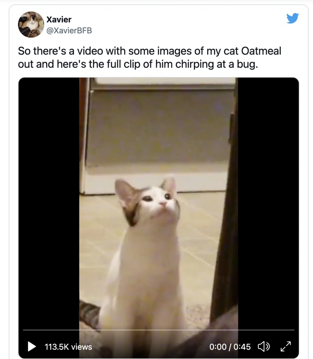 截圖 2021-08-14 下午12.37.13