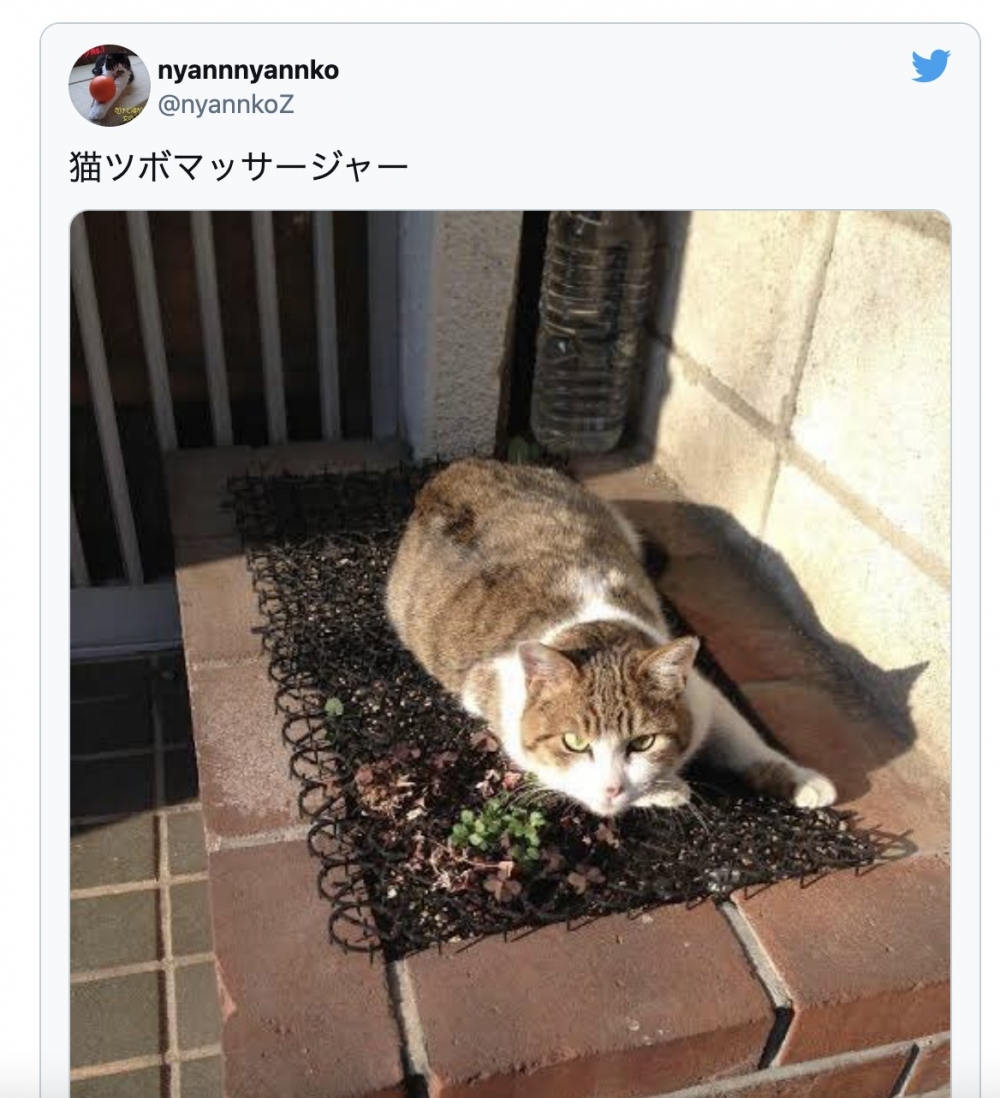 截圖 2021-08-03 下午2.20.52