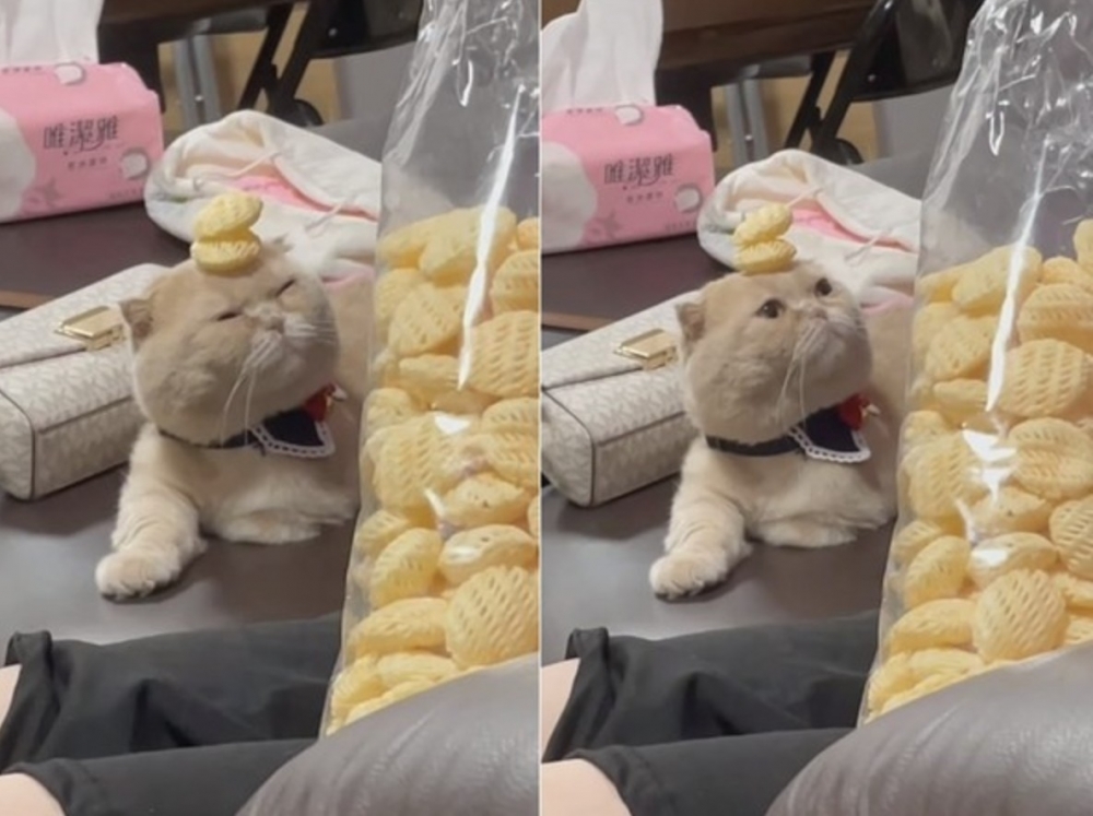 網友Yumi lin小姐提供