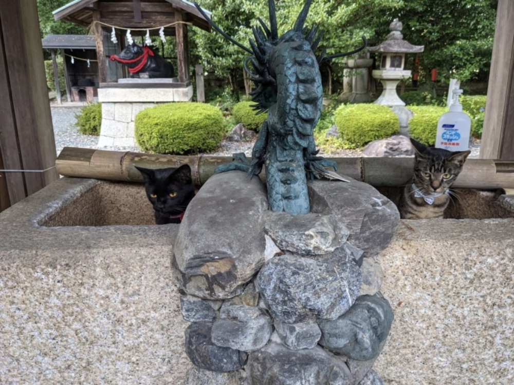 twitter @yukisugi_shrine