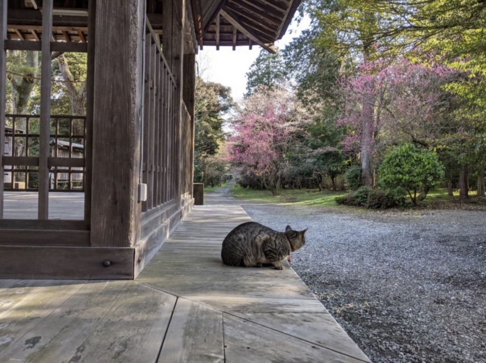 twitter @yukisugi_shrine