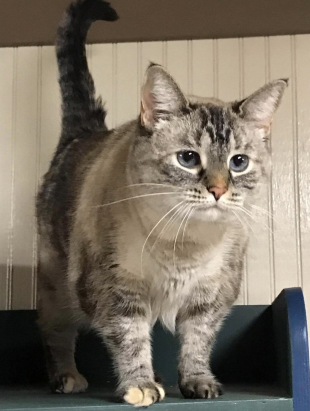 截圖 2021-08-10 上午10.49.09