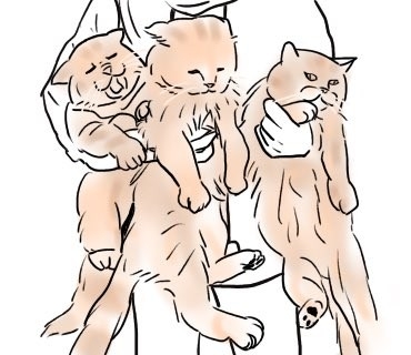 日本網友手繪貓兄弟圖,貓咪吵架不想回家